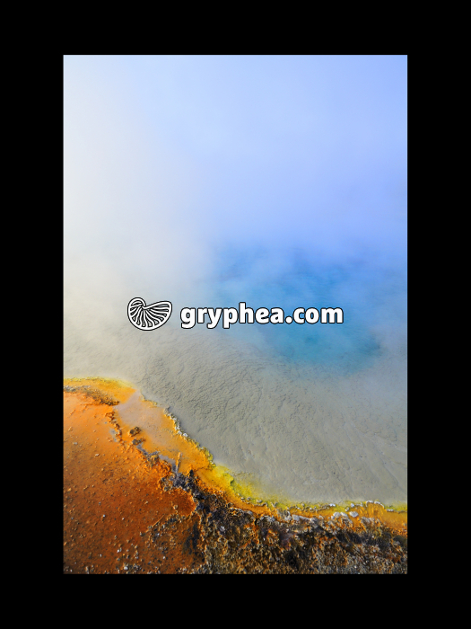 Source hydrothermale (Yellowstone NP, USA) - gryphea.com